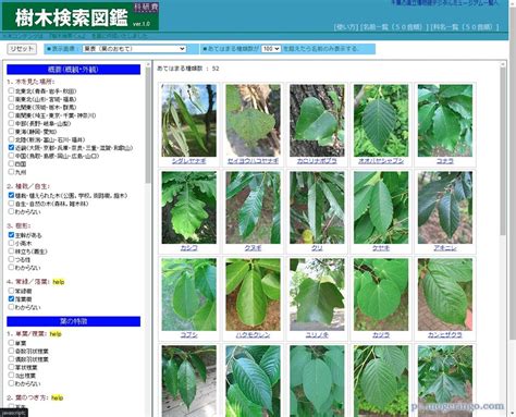 樹型種類|樹木検索図鑑V1.0